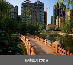 二層升降機(jī)械式停車設(shè)備新樓盤開發(fā)項(xiàng)目