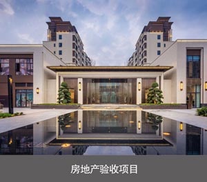 二層升降機(jī)械式停車設(shè)備房地產(chǎn)驗(yàn)收項(xiàng)目